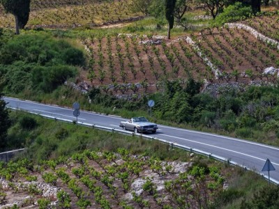 Srednja stavka VSPVIDEO180426 (82).jpeg